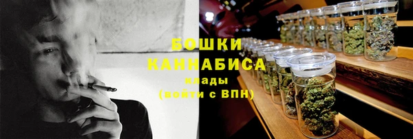 прущие крисы Бородино