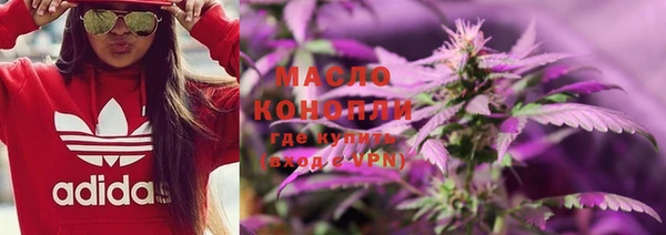 прущие крисы Бородино