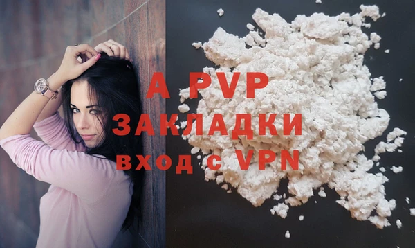 прущие крисы Бородино
