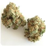 Шишки "White Widow"  (Белая вдова)  Гидропоника -  Бошка VHQ в Валдае